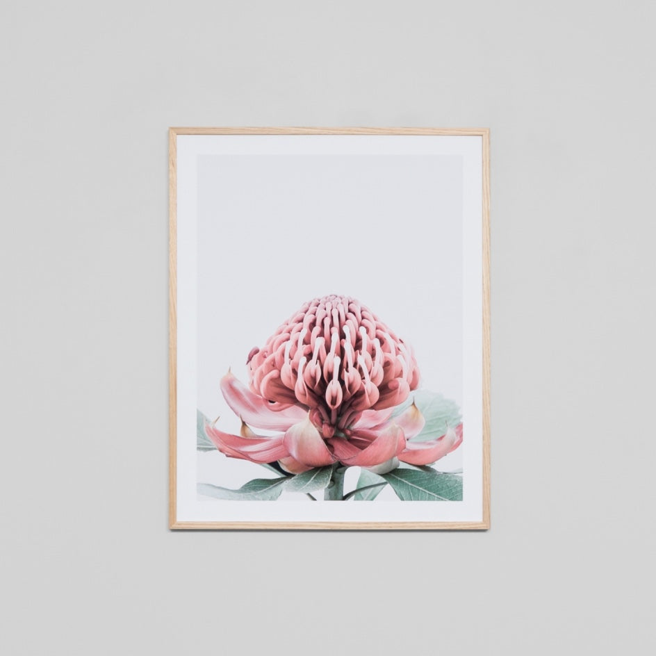 WAREPXAUSF2H_Australian Floral 2