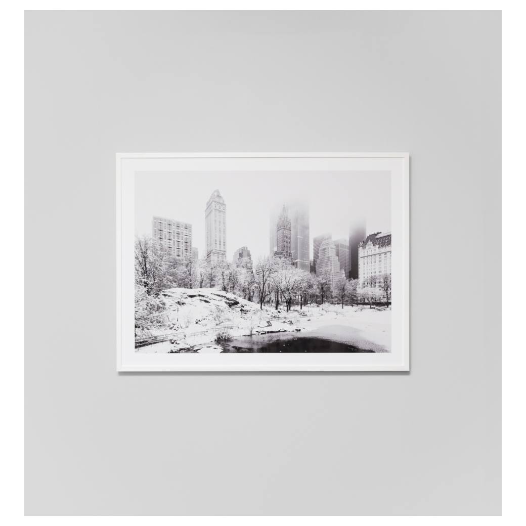 Central Park Print
