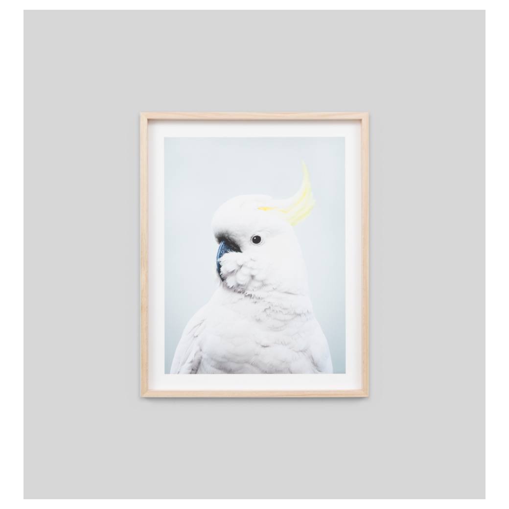 Cockatoo Print, Blue/Raw