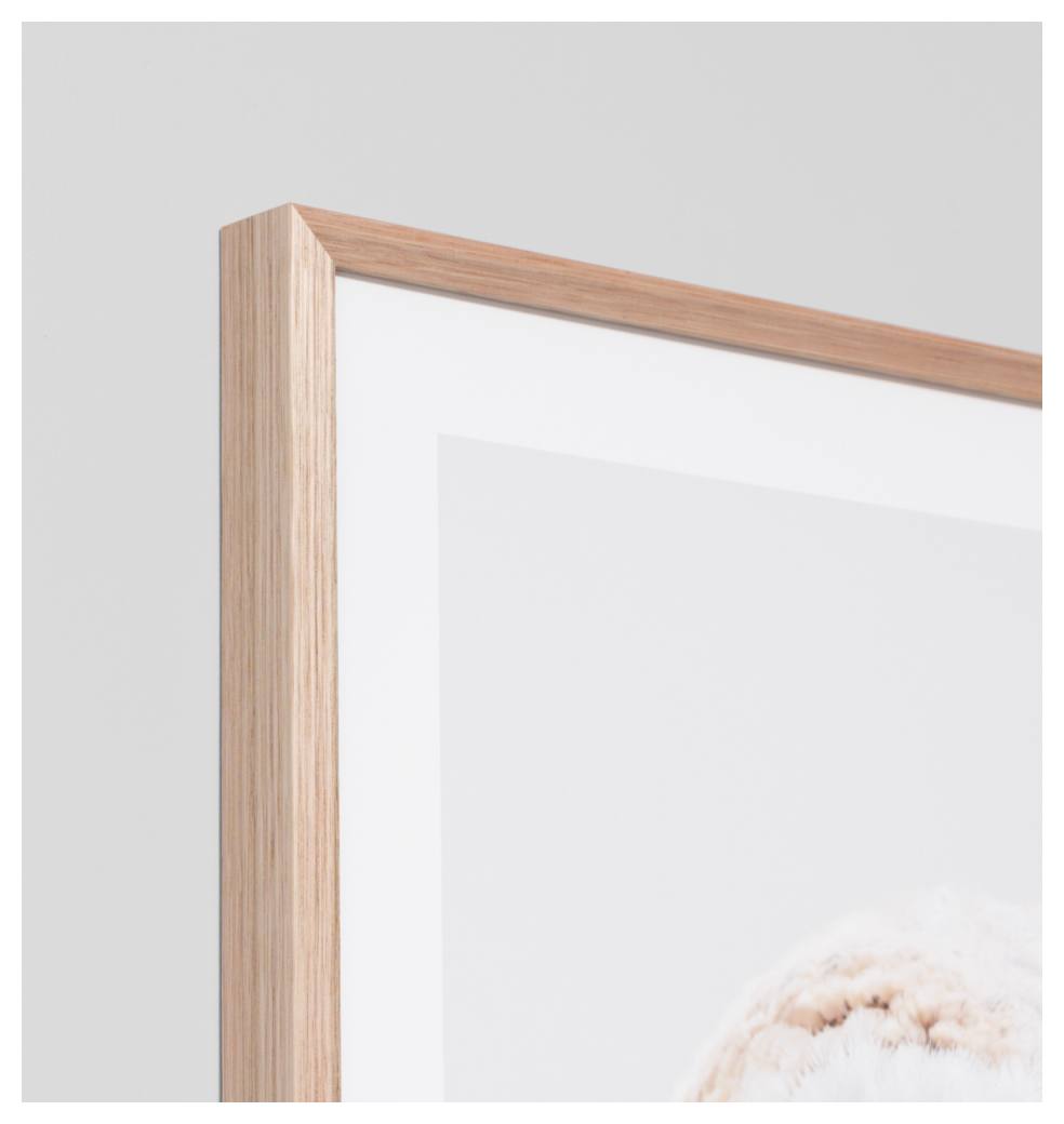 Curious Owl Print, Raw