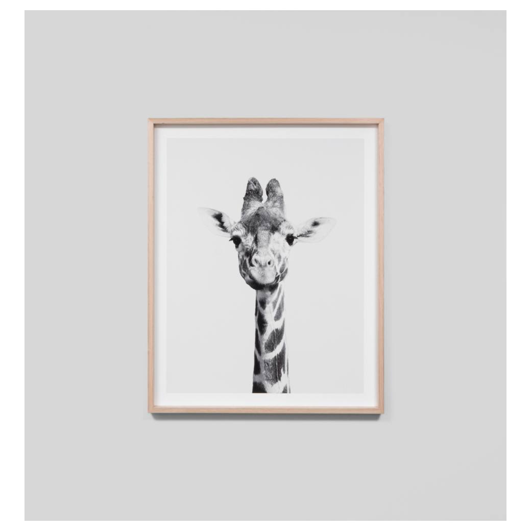Giraffe Portrait Print