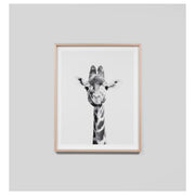 Giraffe Portrait Print