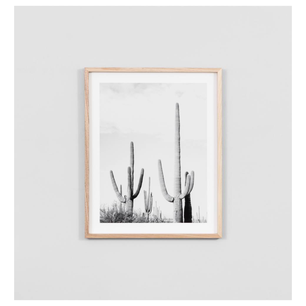 Grey Catcus Print, Raw
