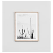 Grey Catcus Print, Raw