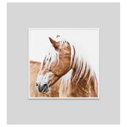 Resting Mare Print, Raw