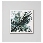 Tropical Garden 1 Print