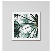 Tropical Garden 2 Print