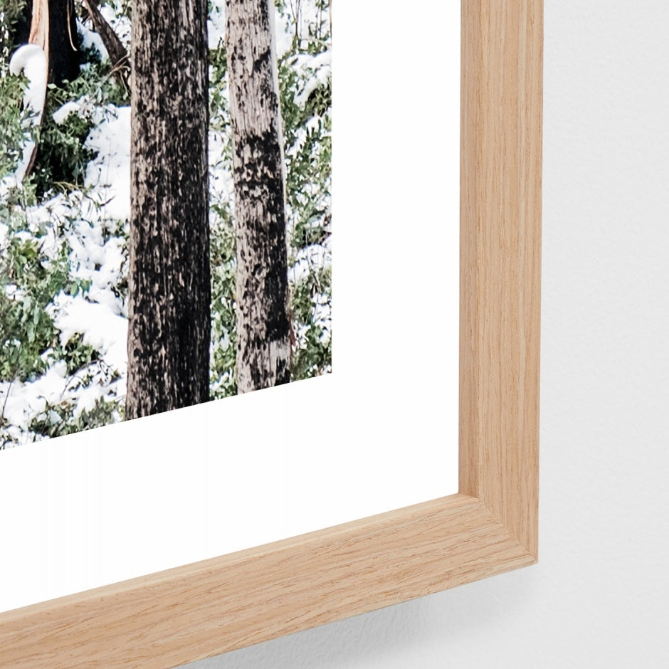 WAREUCFOG4_Eucalyptus Forest Print 87 x 122cm