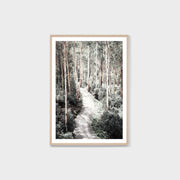 WAREUCTLG4_Eucalyptus Trail Print 87 x 122cm