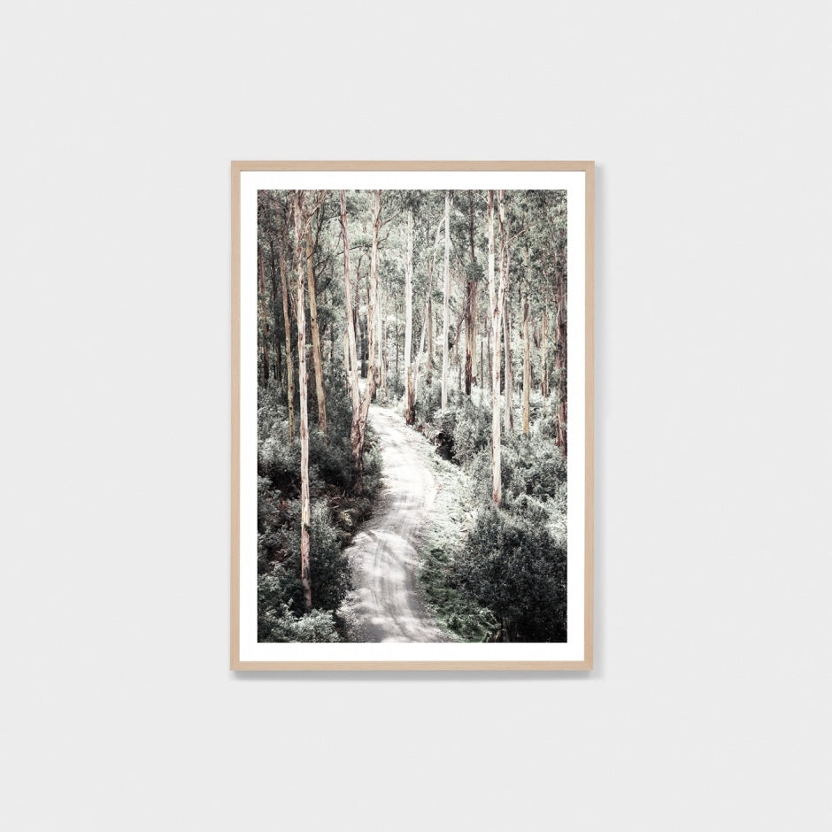 WAREUCTLG4_Eucalyptus Trail Print 87 x 122cm