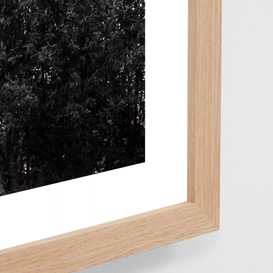 WAREUCTLG4_Eucalyptus Trail Print 87 x 122cm