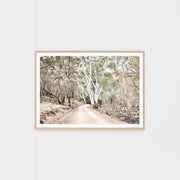 WAREUCTRG4_Eucalyptus Track Print 122 x 87cm