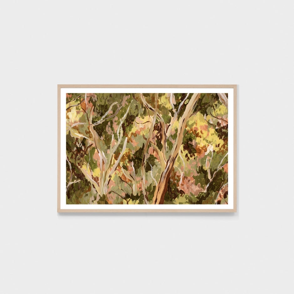 WAREUCTRSRG2_Eucalyptus Treetops Summer Rectangle Print 62 x 45cm