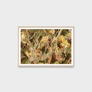 WAREUCTRSRG6_Eucalyptus Treetops Summer Rectangle Print 159 x 113cm