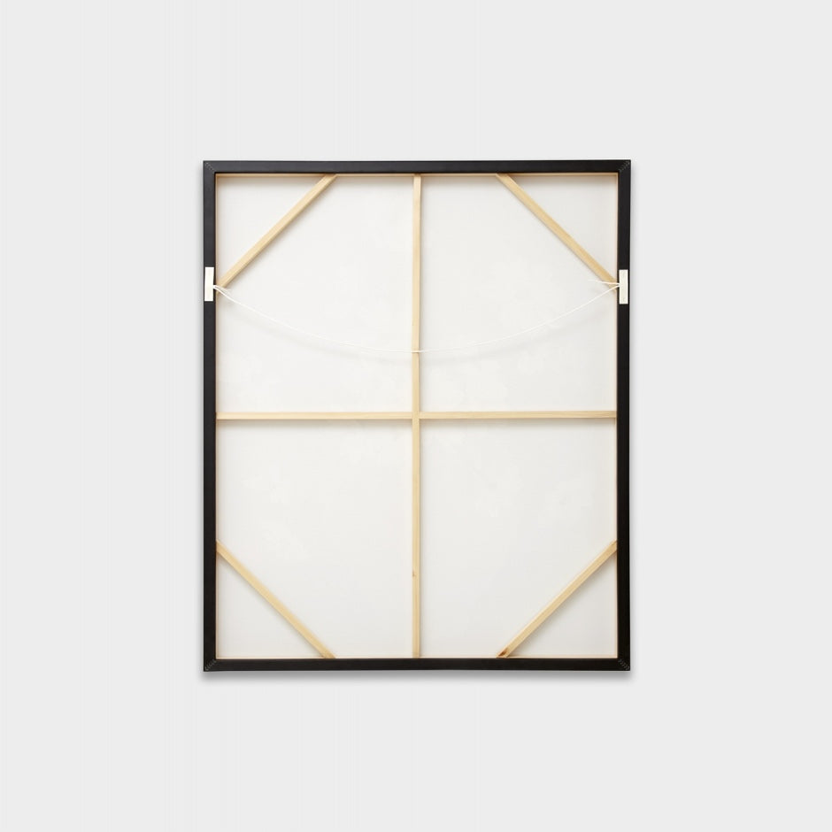 WARFCDAIARRD_Daisy Arrangement Dark Framed Canvas