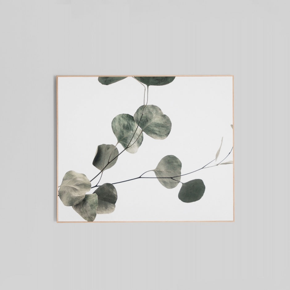 WARFCEUCBR2S_Eucalyptus Branch 2 Framed Canvas 60 x 70cm