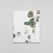 WARFCEUCBRA1_Eucalyptus Branch 1 Framed Canvas 100 x 120cm