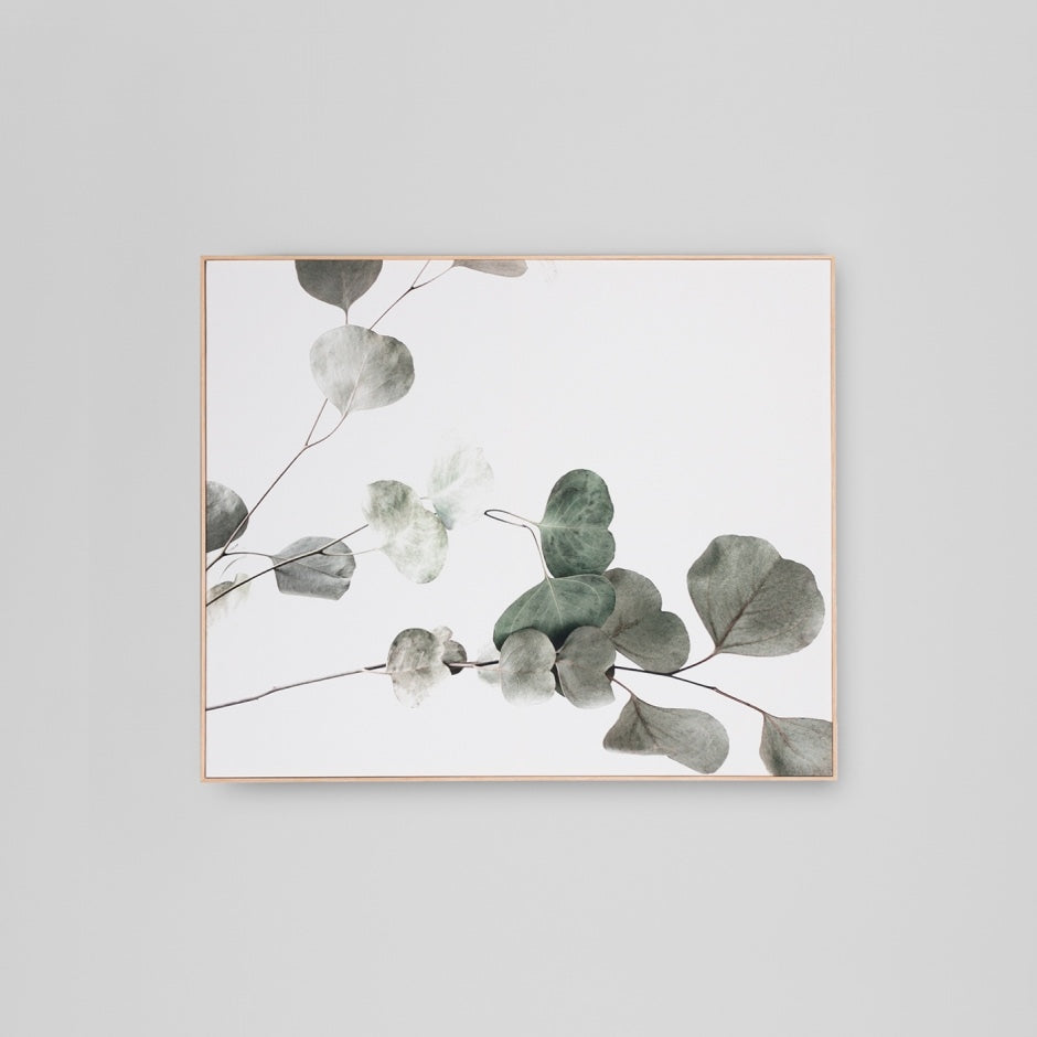 WARFCEUCBRA1_Eucalyptus Branch 1 Framed Canvas 100 x 120cm