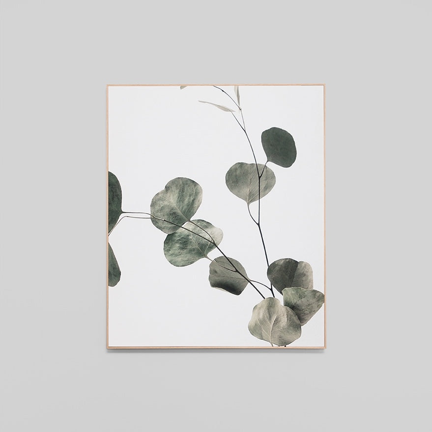 WARFCEUCBRA2_Eucalyptus Branch 2 Framed Canvas 100 x 120cm