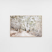 WARFCEUCTRA_Eucalyptus Track Framed Canvas