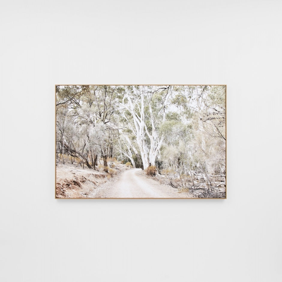 WARFCEUCTRA_Eucalyptus Track Framed Canvas
