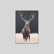 WARFCMEADEE_Meadow Deer Framed Canvas