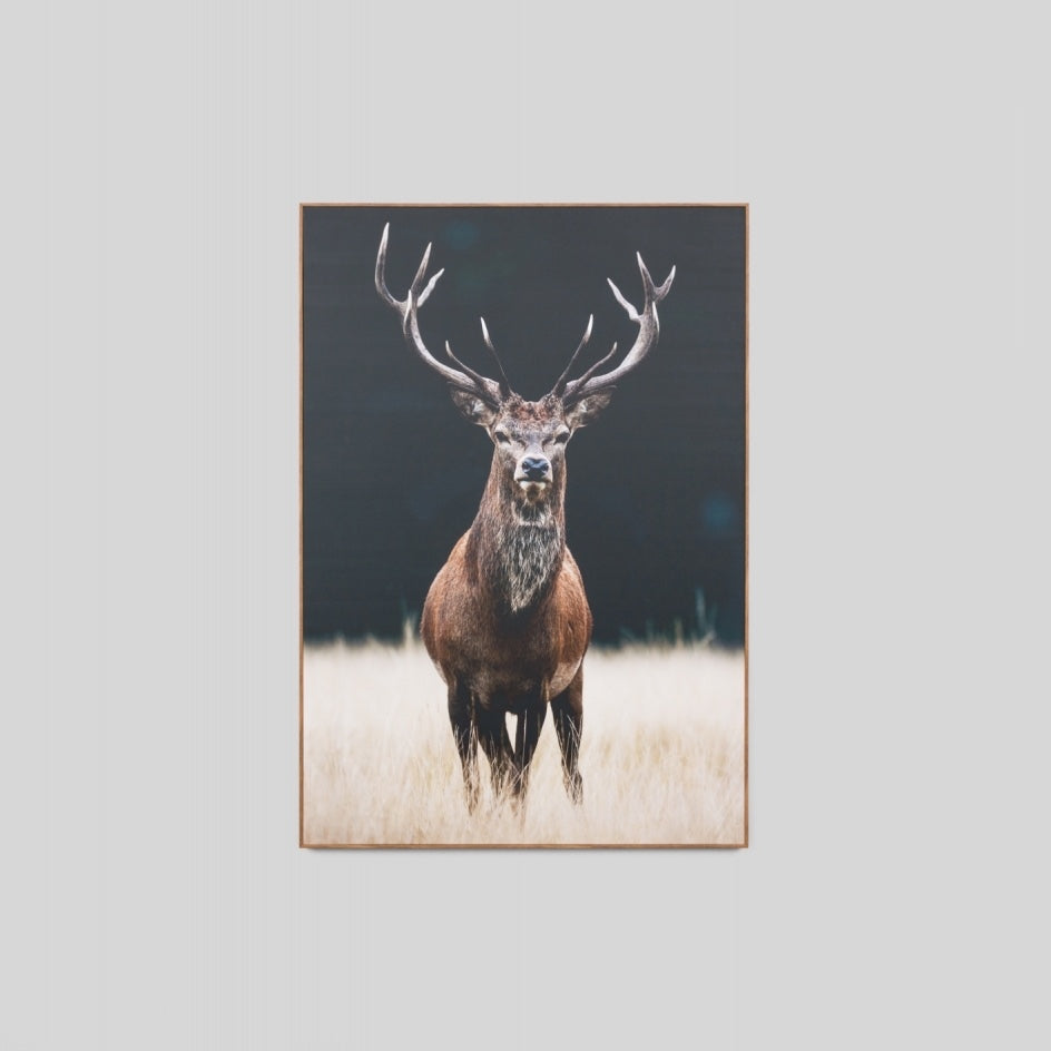 WARFCMEADEE_Meadow Deer Framed Canvas