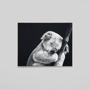 WARFCSLEKOA_Sleepy Koala Framed Canvas