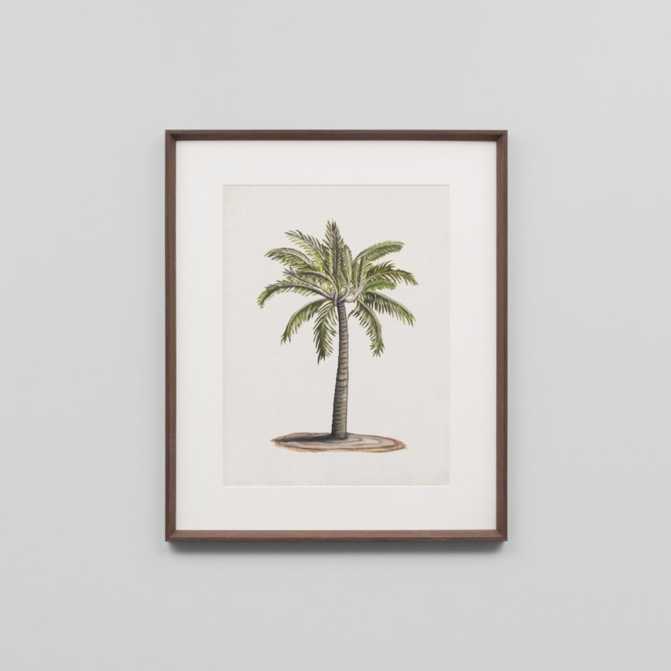 WARFPBRIPAL1_British Palms 1