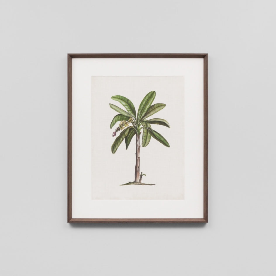 WARFPBRIPAL2_British Palms 2