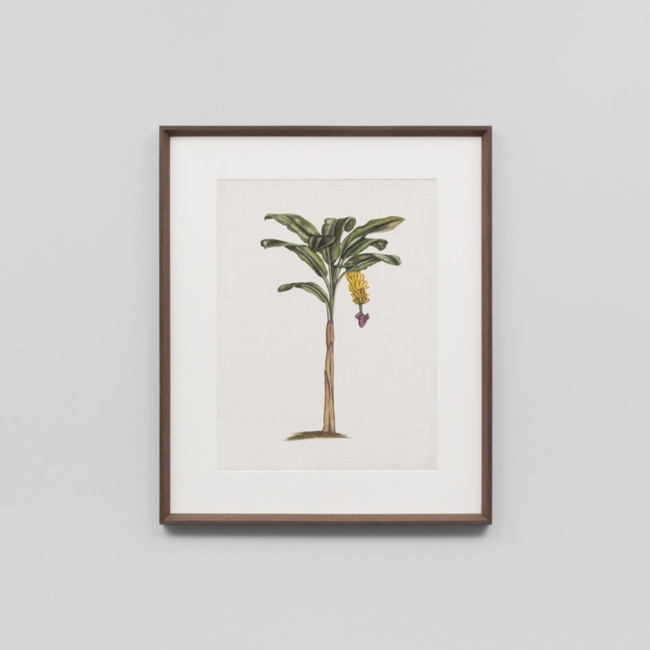 WARFPBRIPAL3_British Palms 3