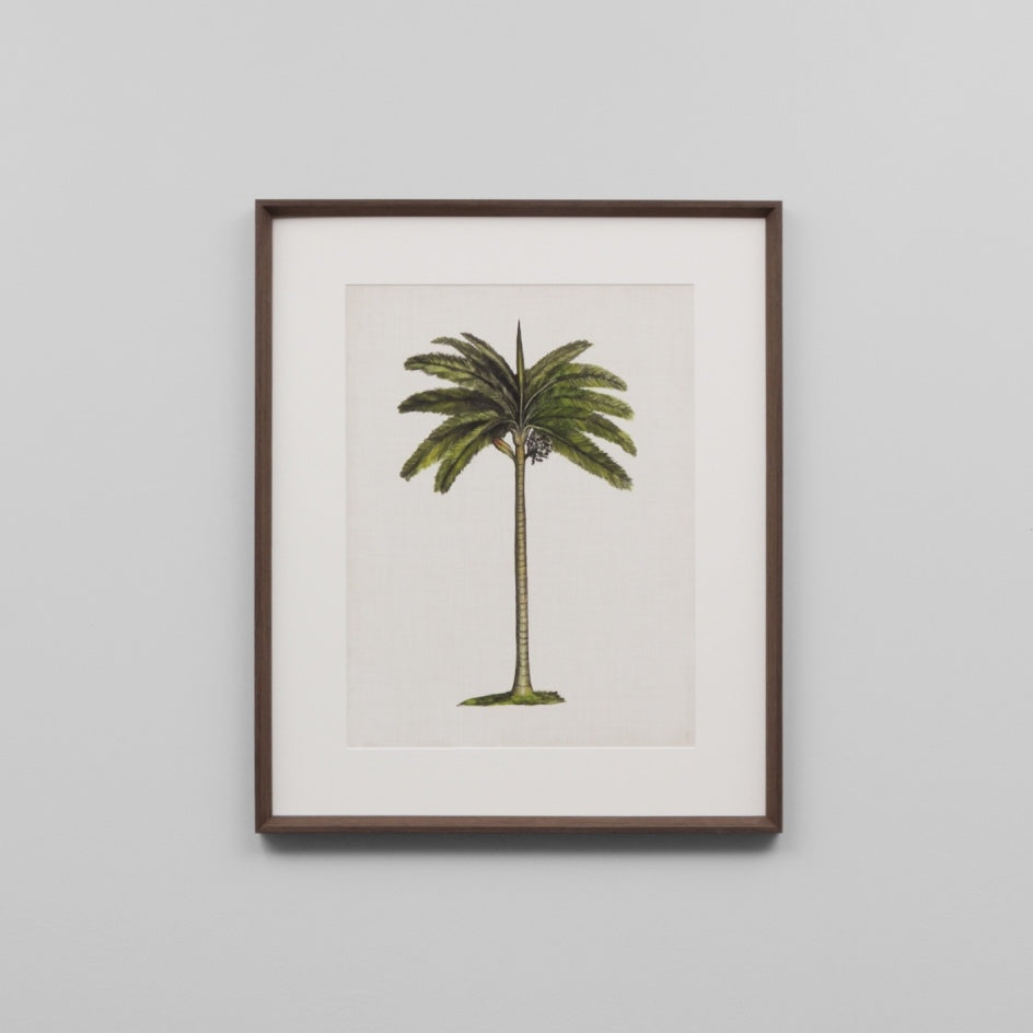 WARFPBRIPAL4_British Palms 4