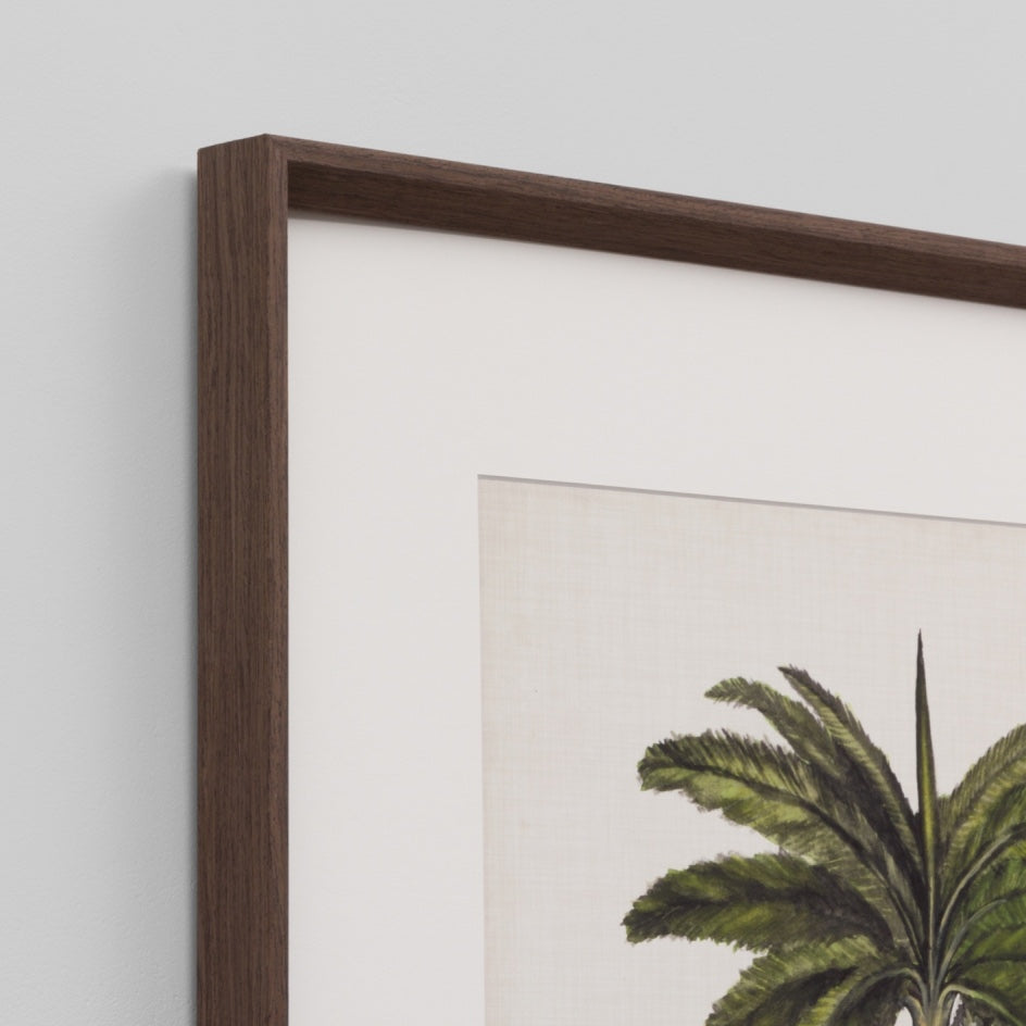 WARFPBRIPAL4_British Palms 4