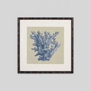 WARFPCHACOR4_Chambray Coral 4