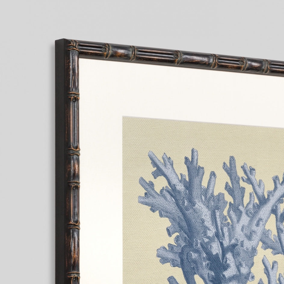 WARFPCHACOR4_Chambray Coral 4