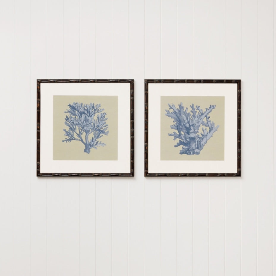 WARFPCHACOR4_Chambray Coral 4