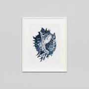 WARFPCOACOL1_Coastal Collection I