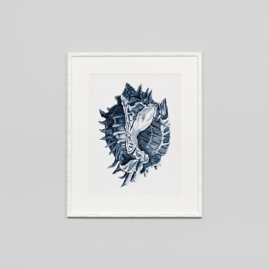 WARFPCOACOL1_Coastal Collection I