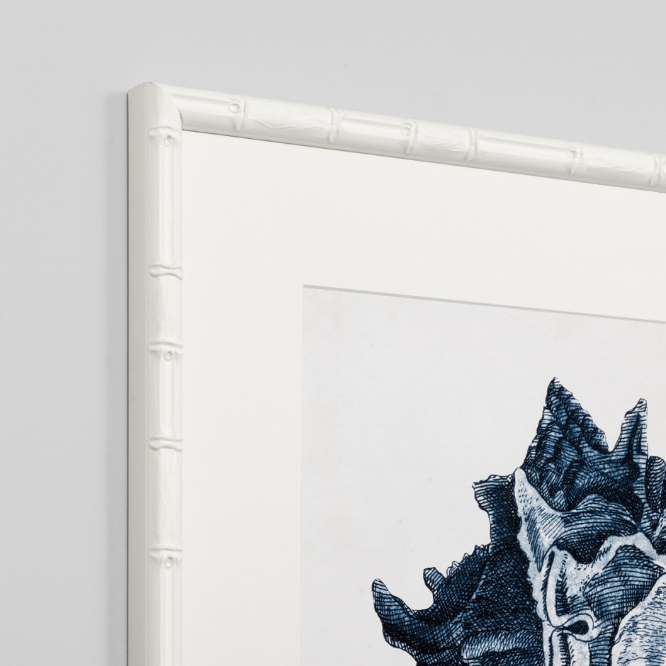 WARFPCOACOL1_Coastal Collection I
