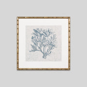 WARFPCORMOT1_Coral Motif 1