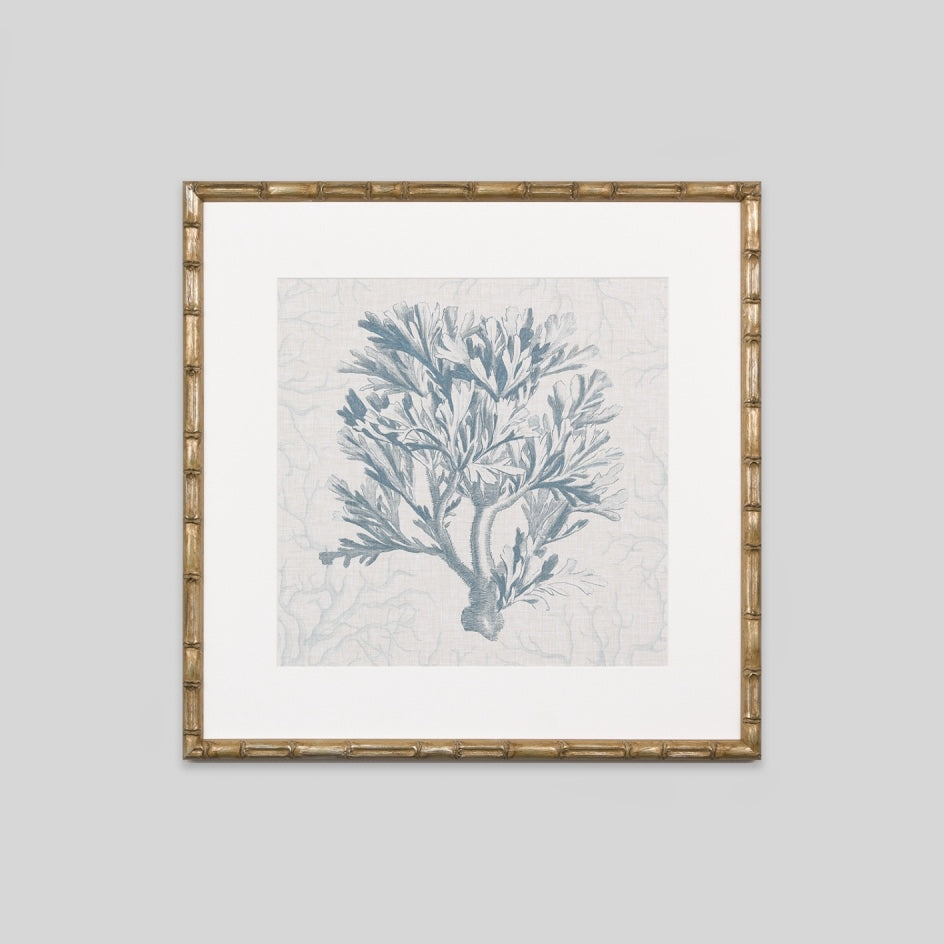 WARFPCORMOT1_Coral Motif 1