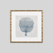 WARFPCORMOT3_Coral Motif 3