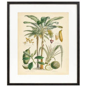 Fruitful Palm 2 Print