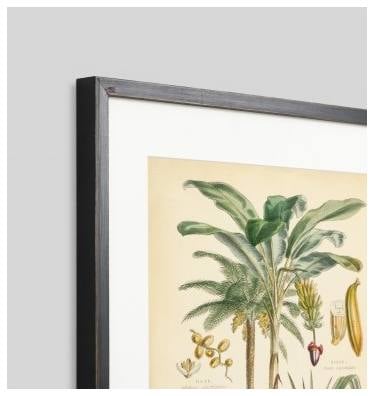 Fruitful Palm 2 Print