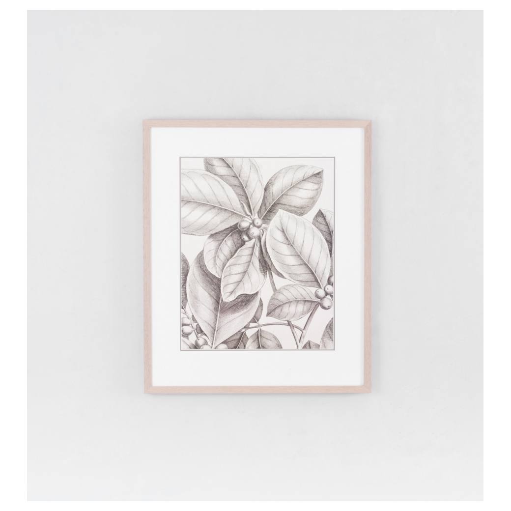 Tropical Connection 1 Print