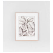 Tropical Connection 1 Print