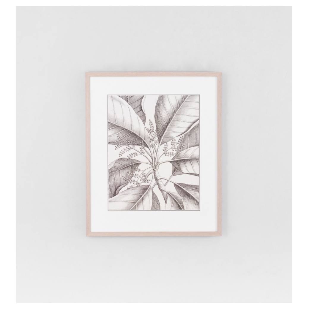 Tropical Connection 2 Print