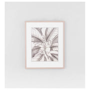 Tropical Connection 2 Print