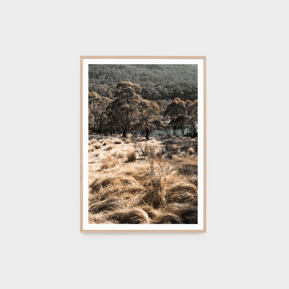 WARHIGCOG4_High Country Print 88 x 123cm