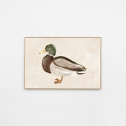 WARMILPN1R6H_Mallard Portrait Natural 1 Canvas 135 x 90cm, Light Timber-Look Synthetic Frame